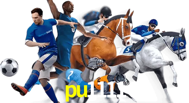 pu1111