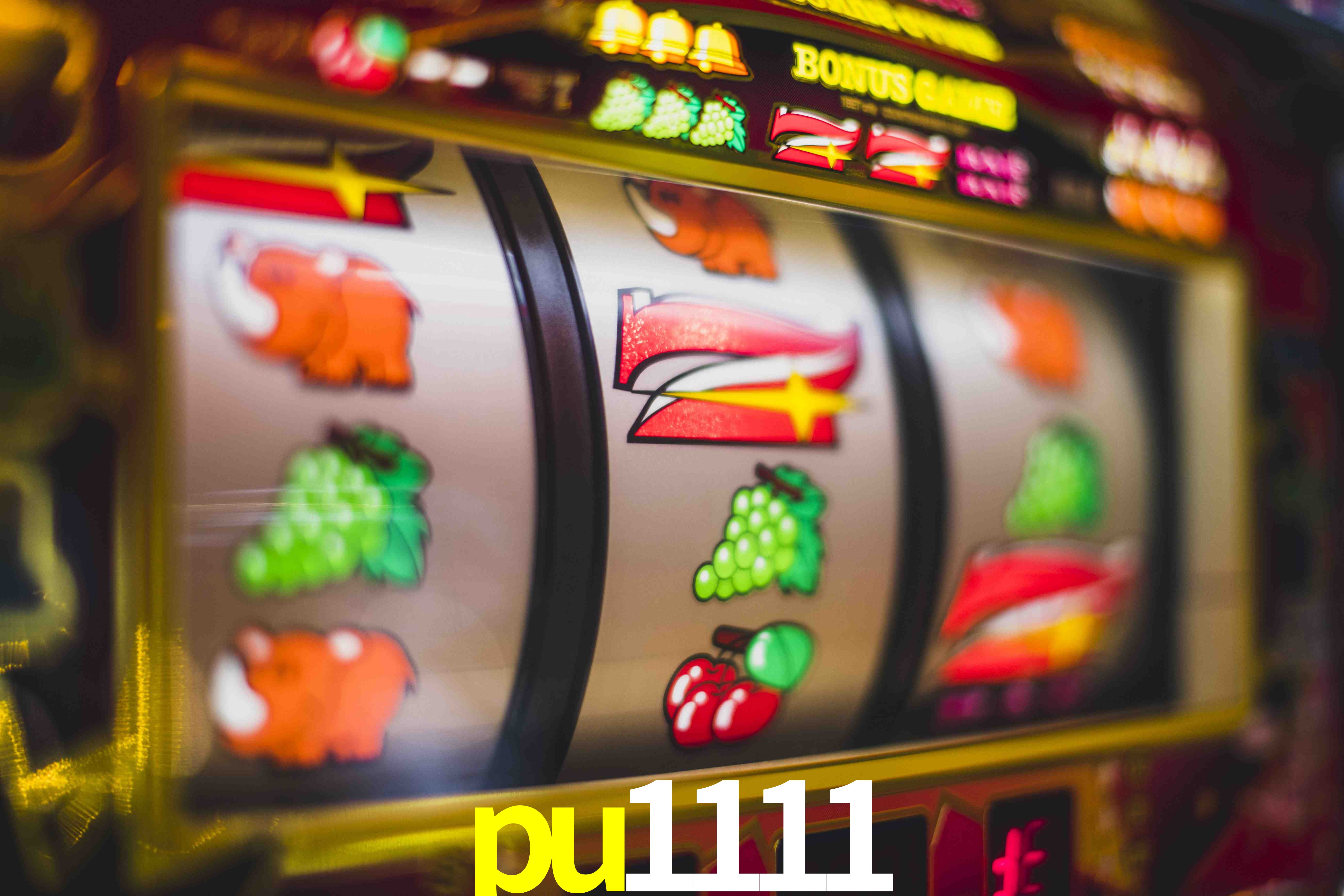 Live Casino pu1111