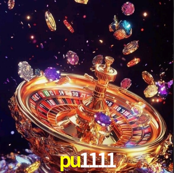  pu1111.com