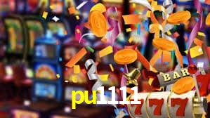 pu1111 App Interface