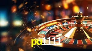 pu1111.com