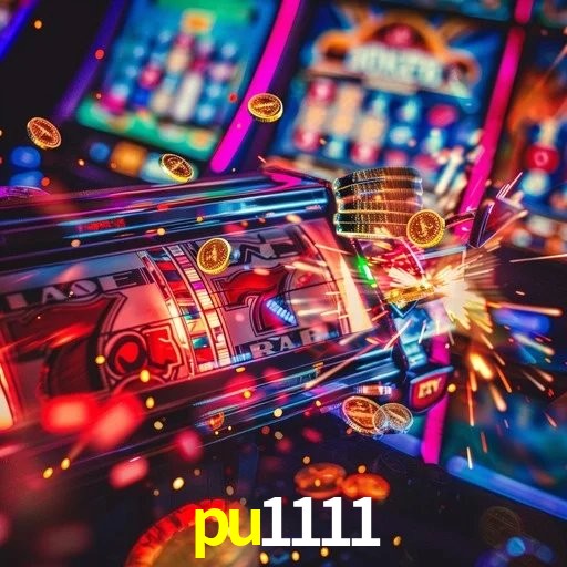 Casino VIP pu1111
