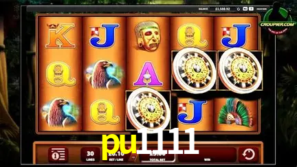 Descubra o Mundo do Cassino Online com pu1111